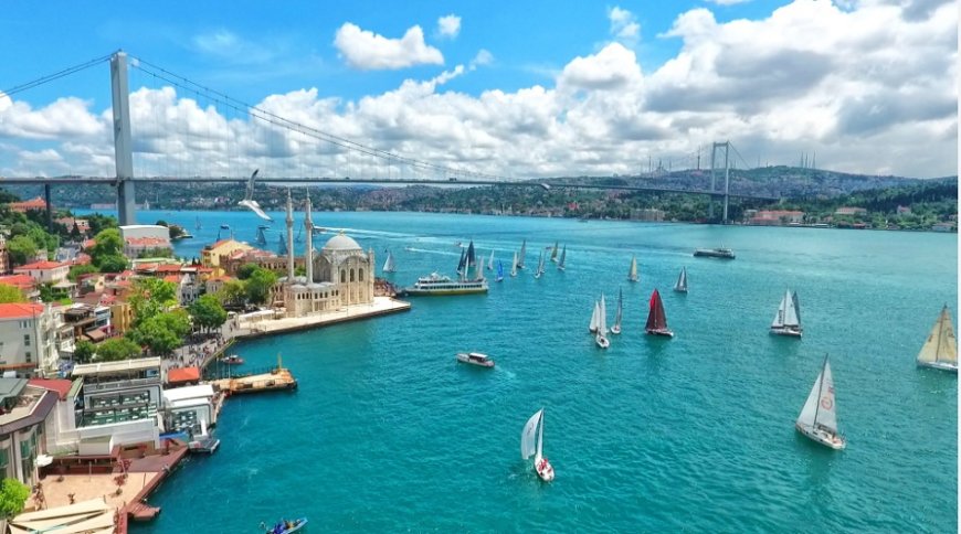 İstanbul’un En İyi Psikiyatri Uzmanları: Uzman İsim ve İletişim Bilgileri