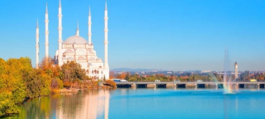 Adana’nın En İyi Psikiyatri Uzmanları: Uzman İsim ve İletişim Bilgileri