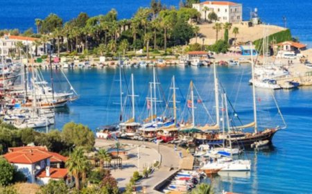 Muğla’nın En İyi Psikiyatri Uzmanları ve İletişim Bilgileri