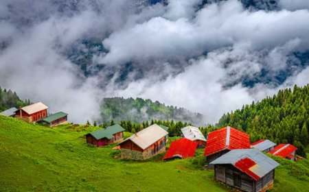 Rize’nin En İyi Psikiyatri Uzmanları ve İletişim Bilgileri