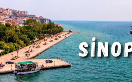 Sinop’un En İyi Psikiyatri Uzmanları ve İletişim Bilgileri