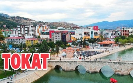 Tokat’ın En İyi Psikiyatri Uzmanları ve İletişim Bilgileri