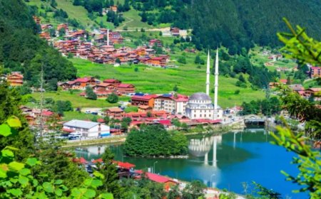 Trabzon'un En İyi Psikiyatri Uzmanları ve İletişim Bilgileri