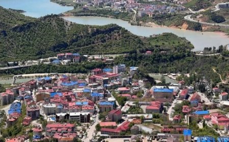 Tunceli’nin En İyi Psikiyatri Uzmanları ve İletisim Bilgileri