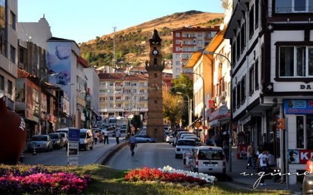 Yozgat’ın En İyi Psikiyatri Uzmanları ve İletişim Bilgileri