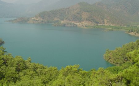 Köyceğiz Gölü: Doğanın Gizli Cenneti