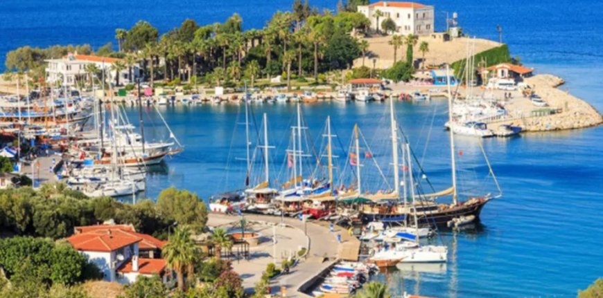 Muğla’nın En İyi Psikiyatri Uzmanları ve İletişim Bilgileri