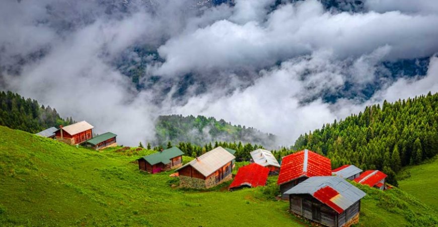 Rize’nin En İyi Psikiyatri Uzmanları ve İletişim Bilgileri