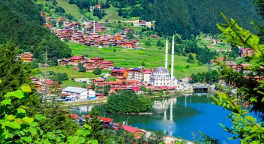 Trabzon'un En İyi Psikiyatri Uzmanları ve İletişim Bilgileri