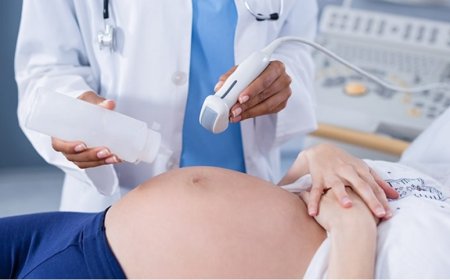 Gebelikte Hangi Testler Yapılır? Sağlıklı Bir Hamilelik İçin Kritik Tarama Yöntemleri